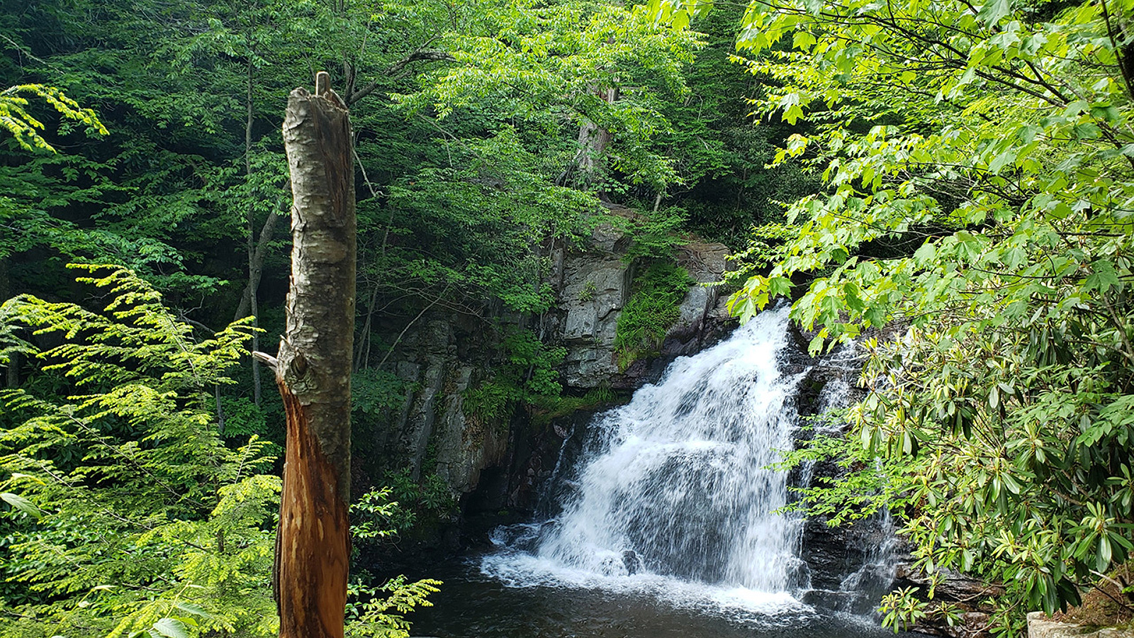 NY Falls Here waterfall guide image